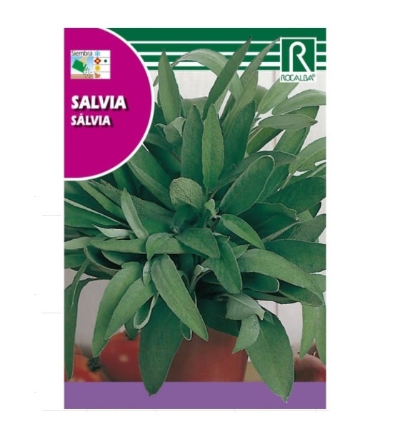 Semilla Salvia (2 gramos) ROCALBA